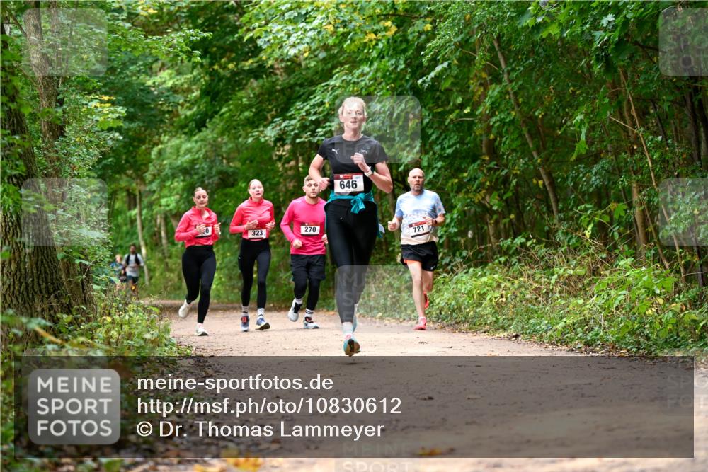 11.10.2026 - Bramfelder Halbmarathon 2026 Dr. Thomas Lammeyer http://msf.ph/oto/10830612 11.10.2026 11:13:49 Laufen 323, 270, 646, 721 meine-sportfotos.de