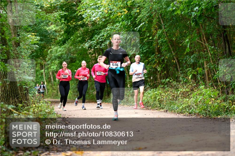 11.10.2026 - Bramfelder Halbmarathon 2026 Dr. Thomas Lammeyer http://msf.ph/oto/10830613 11.10.2026 11:13:50 Laufen 360, 23, 270, 646, 721 meine-sportfotos.de
