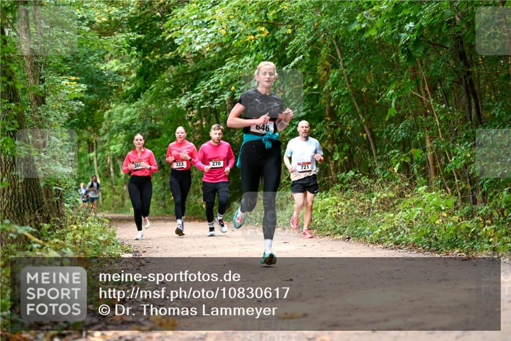 11.10.2026 - Bramfelder Halbmarathon 2026 Dr. Thomas Lammeyer http://msf.ph/oto/10830617 11.10.2026 11:13:50 Laufen 360, 323, 270, 646, 721 meine-sportfotos.de