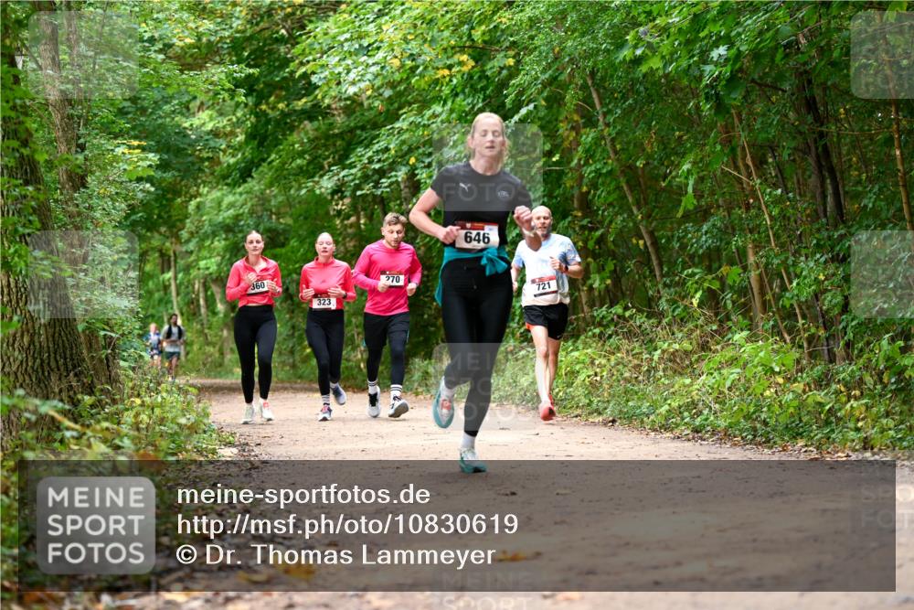 11.10.2026 - Bramfelder Halbmarathon 2026 Dr. Thomas Lammeyer http://msf.ph/oto/10830619 11.10.2026 11:13:50 Laufen 360, 323, 270, 646, 721 meine-sportfotos.de