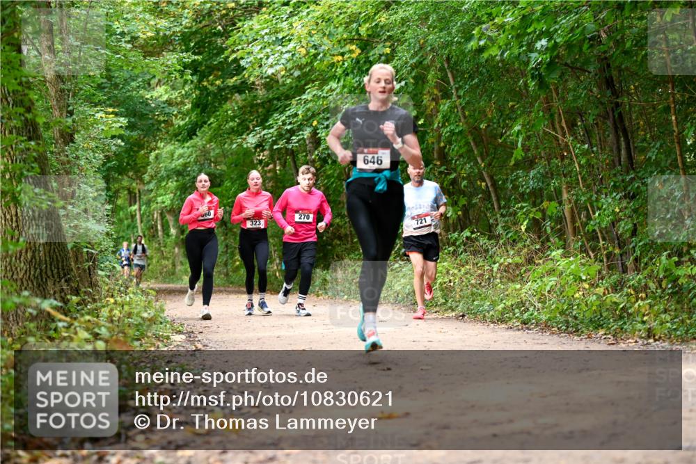 11.10.2026 - Bramfelder Halbmarathon 2026 Dr. Thomas Lammeyer http://msf.ph/oto/10830621 11.10.2026 11:13:50 Laufen 00, 646, 323, 270, 721 meine-sportfotos.de