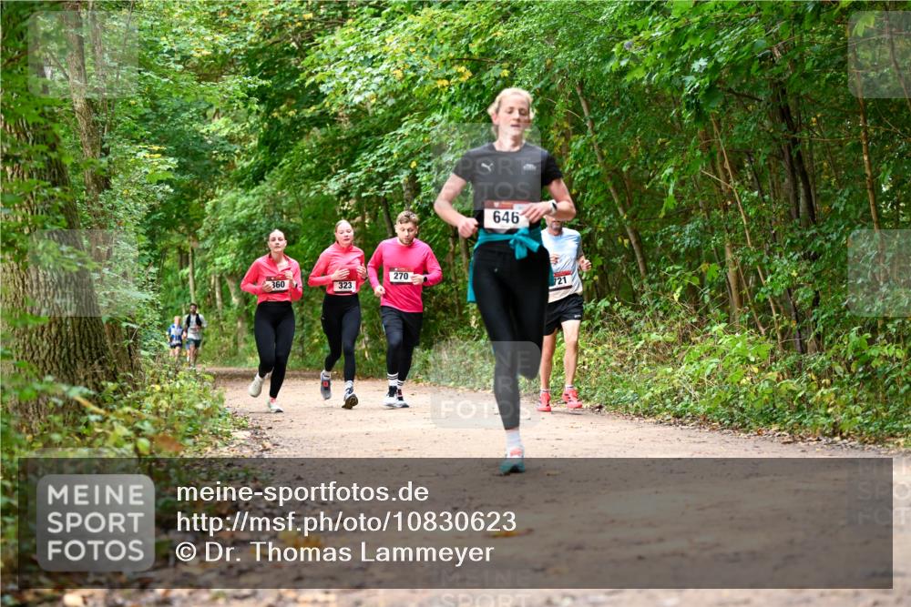 11.10.2026 - Bramfelder Halbmarathon 2026 Dr. Thomas Lammeyer http://msf.ph/oto/10830623 11.10.2026 11:13:50 Laufen 360, 323, 270, 646, 721 meine-sportfotos.de