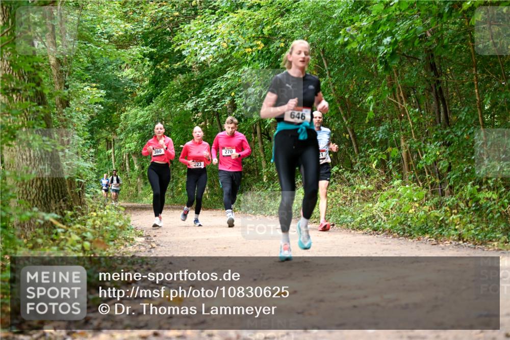 11.10.2026 - Bramfelder Halbmarathon 2026 Dr. Thomas Lammeyer http://msf.ph/oto/10830625 11.10.2026 11:13:50 Laufen 360, 23, 270, 646 meine-sportfotos.de