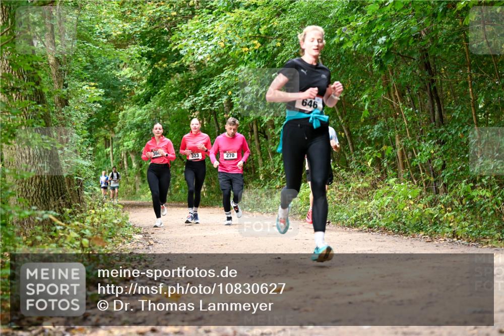 11.10.2026 - Bramfelder Halbmarathon 2026 Dr. Thomas Lammeyer http://msf.ph/oto/10830627 11.10.2026 11:13:50 Laufen 366, 323, 270, 646 meine-sportfotos.de