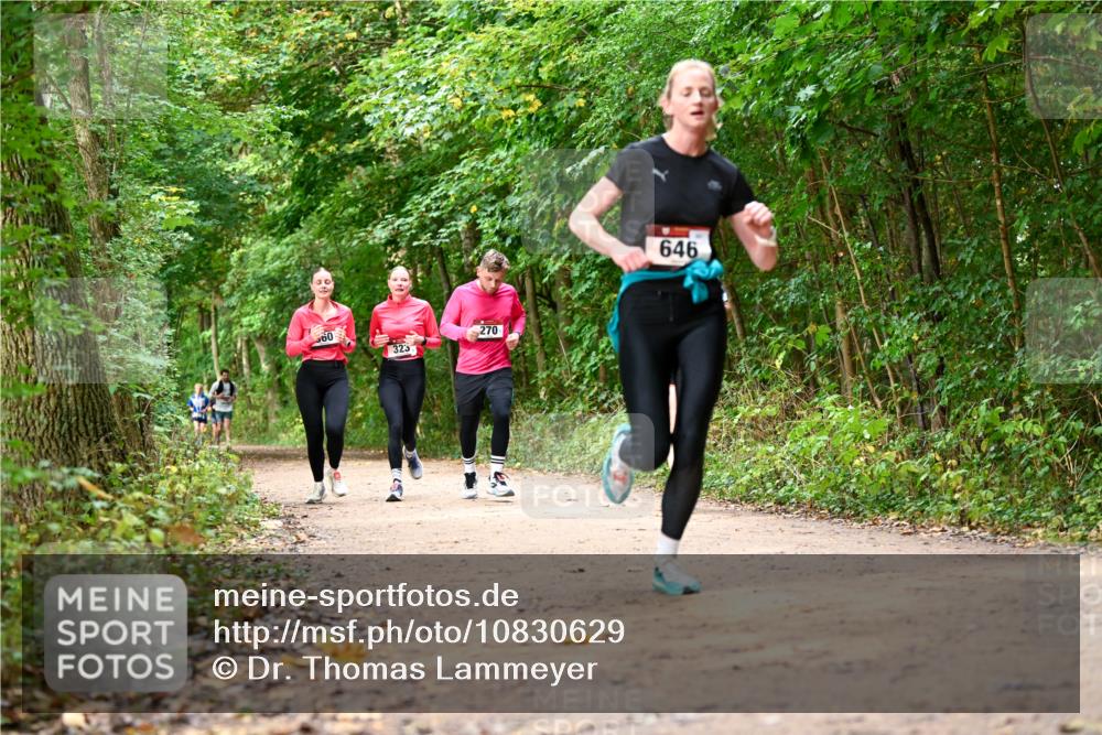 11.10.2026 - Bramfelder Halbmarathon 2026 Dr. Thomas Lammeyer http://msf.ph/oto/10830629 11.10.2026 11:13:51 Laufen 60, 323, 270, 646 meine-sportfotos.de