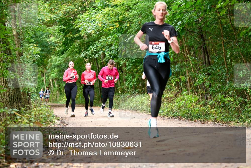 11.10.2026 - Bramfelder Halbmarathon 2026 Dr. Thomas Lammeyer http://msf.ph/oto/10830631 11.10.2026 11:13:51 Laufen 00, 323, 270, 646 meine-sportfotos.de