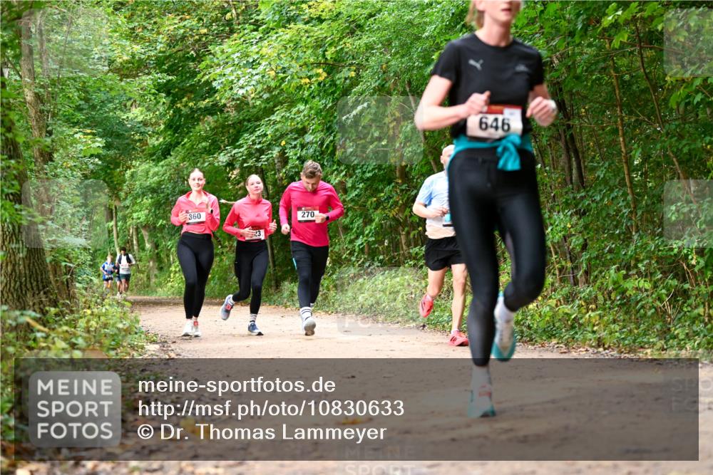 11.10.2026 - Bramfelder Halbmarathon 2026 Dr. Thomas Lammeyer http://msf.ph/oto/10830633 11.10.2026 11:13:51 Laufen 360, 270, 646 meine-sportfotos.de