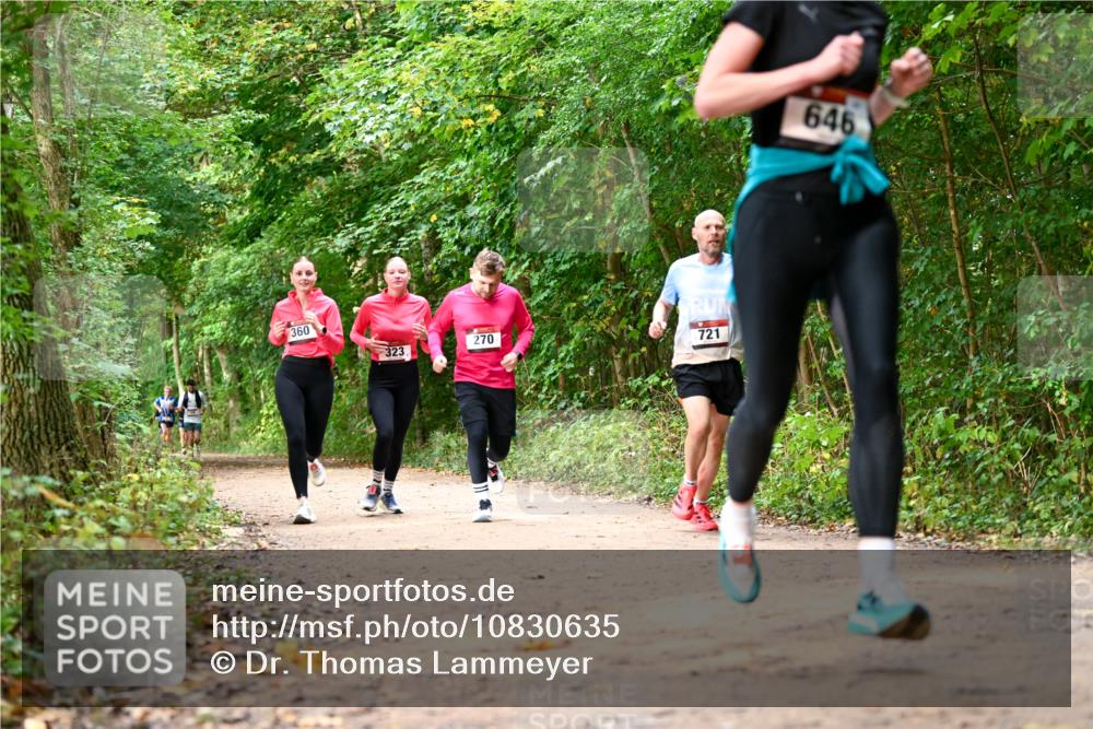 11.10.2026 - Bramfelder Halbmarathon 2026 Dr. Thomas Lammeyer http://msf.ph/oto/10830635 11.10.2026 11:13:51 Laufen 360, 323, 270, 721, 646 meine-sportfotos.de