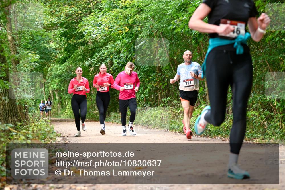 11.10.2026 - Bramfelder Halbmarathon 2026 Dr. Thomas Lammeyer http://msf.ph/oto/10830637 11.10.2026 11:13:51 Laufen 360, 323, 270, 721, 46 meine-sportfotos.de