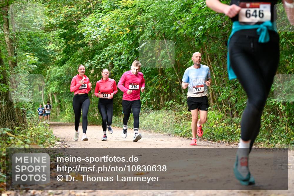11.10.2026 - Bramfelder Halbmarathon 2026 Dr. Thomas Lammeyer http://msf.ph/oto/10830638 11.10.2026 11:13:51 Laufen 360, 323, 270, 721, 646 meine-sportfotos.de