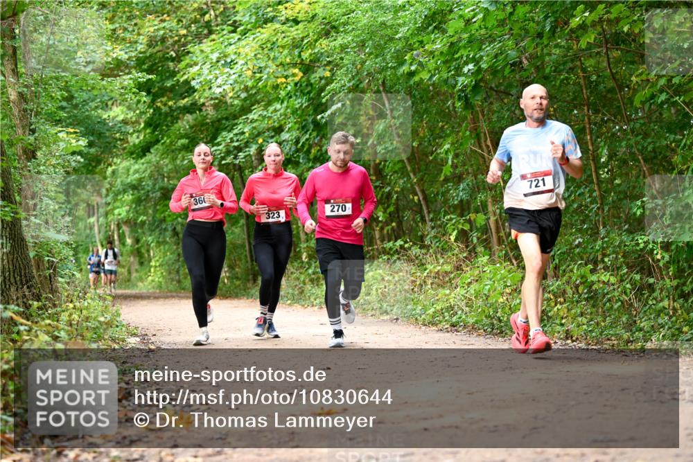 11.10.2026 - Bramfelder Halbmarathon 2026 Dr. Thomas Lammeyer http://msf.ph/oto/10830644 11.10.2026 11:13:52 Laufen 366, 323, 270, 721 meine-sportfotos.de