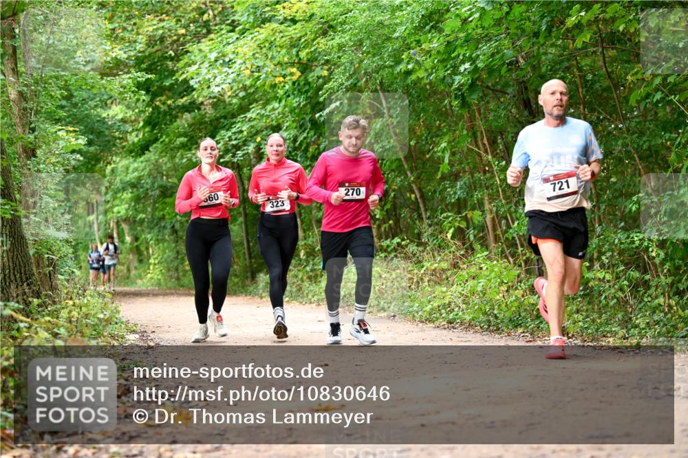 11.10.2026 - Bramfelder Halbmarathon 2026 Dr. Thomas Lammeyer http://msf.ph/oto/10830646 11.10.2026 11:13:52 Laufen 560, 323, 270, 721 meine-sportfotos.de