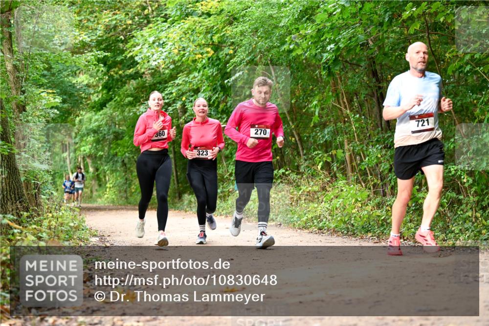11.10.2026 - Bramfelder Halbmarathon 2026 Dr. Thomas Lammeyer http://msf.ph/oto/10830648 11.10.2026 11:13:52 Laufen 360, 323, 270, 721 meine-sportfotos.de