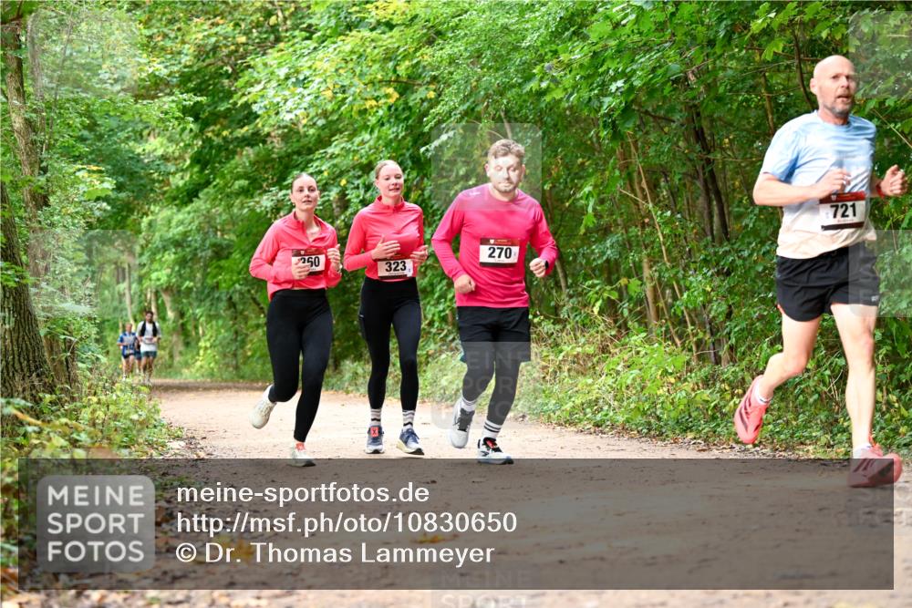 11.10.2026 - Bramfelder Halbmarathon 2026 Dr. Thomas Lammeyer http://msf.ph/oto/10830650 11.10.2026 11:13:52 Laufen 250, 323, 270, 721 meine-sportfotos.de