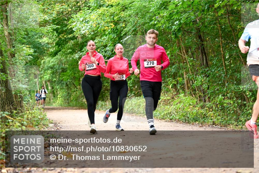 11.10.2026 - Bramfelder Halbmarathon 2026 Dr. Thomas Lammeyer http://msf.ph/oto/10830652 11.10.2026 11:13:53 Laufen 360, 270 meine-sportfotos.de