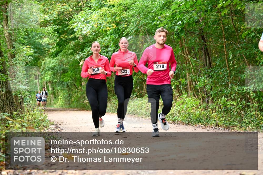 11.10.2026 - Bramfelder Halbmarathon 2026 Dr. Thomas Lammeyer http://msf.ph/oto/10830653 11.10.2026 11:13:53 Laufen 360, 323, 270 meine-sportfotos.de