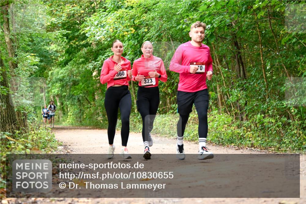 11.10.2026 - Bramfelder Halbmarathon 2026 Dr. Thomas Lammeyer http://msf.ph/oto/10830655 11.10.2026 11:13:53 Laufen 360, 323, 70 meine-sportfotos.de