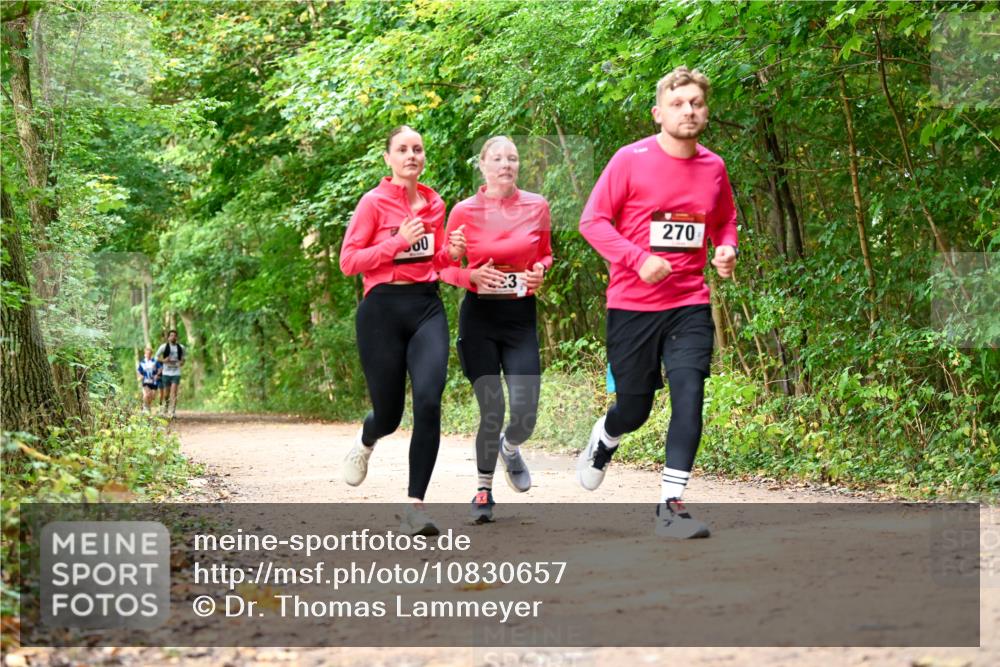 11.10.2026 - Bramfelder Halbmarathon 2026 Dr. Thomas Lammeyer http://msf.ph/oto/10830657 11.10.2026 11:13:53 Laufen 00, 270 meine-sportfotos.de
