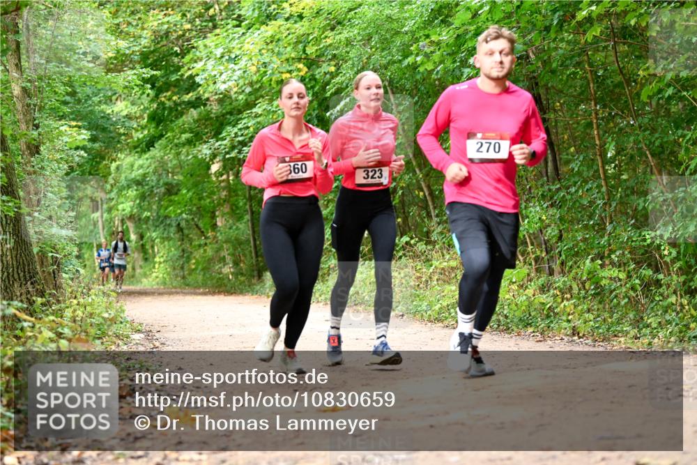 11.10.2026 - Bramfelder Halbmarathon 2026 Dr. Thomas Lammeyer http://msf.ph/oto/10830659 11.10.2026 11:13:53 Laufen 360, 323, 270 meine-sportfotos.de