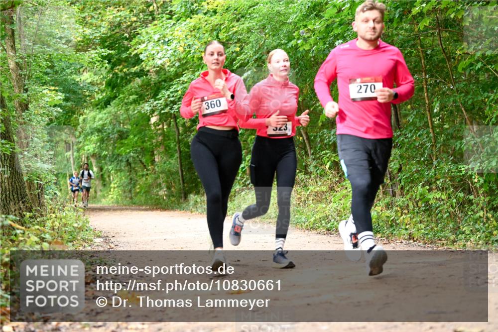 11.10.2026 - Bramfelder Halbmarathon 2026 Dr. Thomas Lammeyer http://msf.ph/oto/10830661 11.10.2026 11:13:53 Laufen 360, 325, 270 meine-sportfotos.de