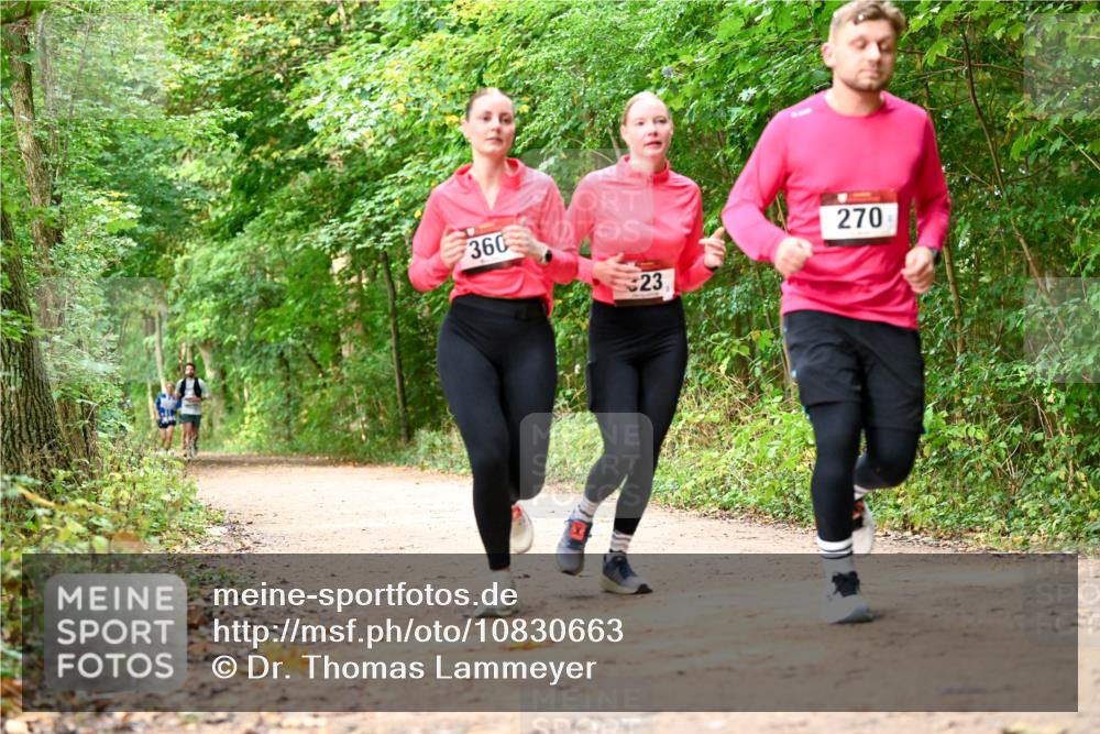 11.10.2026 - Bramfelder Halbmarathon 2026 Dr. Thomas Lammeyer http://msf.ph/oto/10830663 11.10.2026 11:13:53 Laufen 360, 23, 270 meine-sportfotos.de