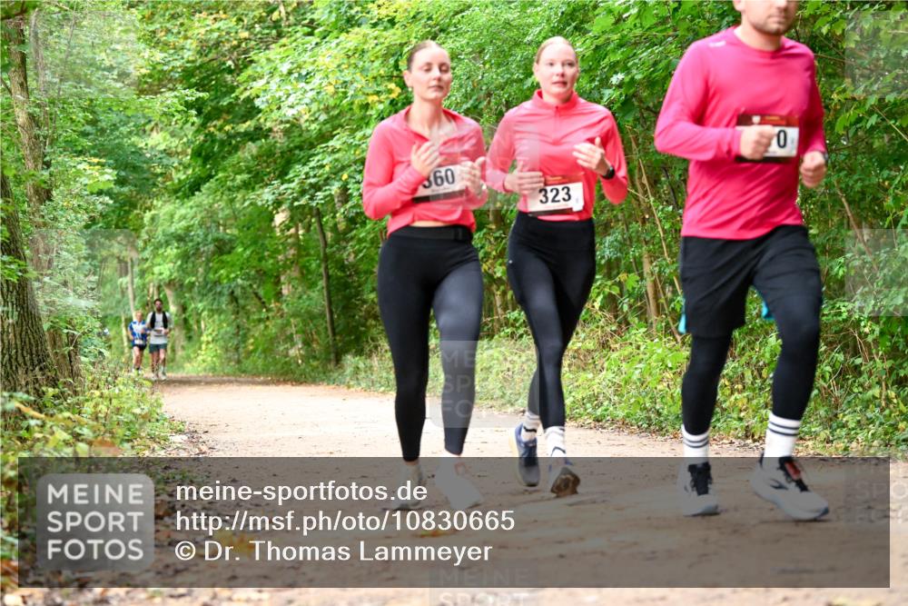 11.10.2026 - Bramfelder Halbmarathon 2026 Dr. Thomas Lammeyer http://msf.ph/oto/10830665 11.10.2026 11:13:53 Laufen 360, 323, 0 meine-sportfotos.de