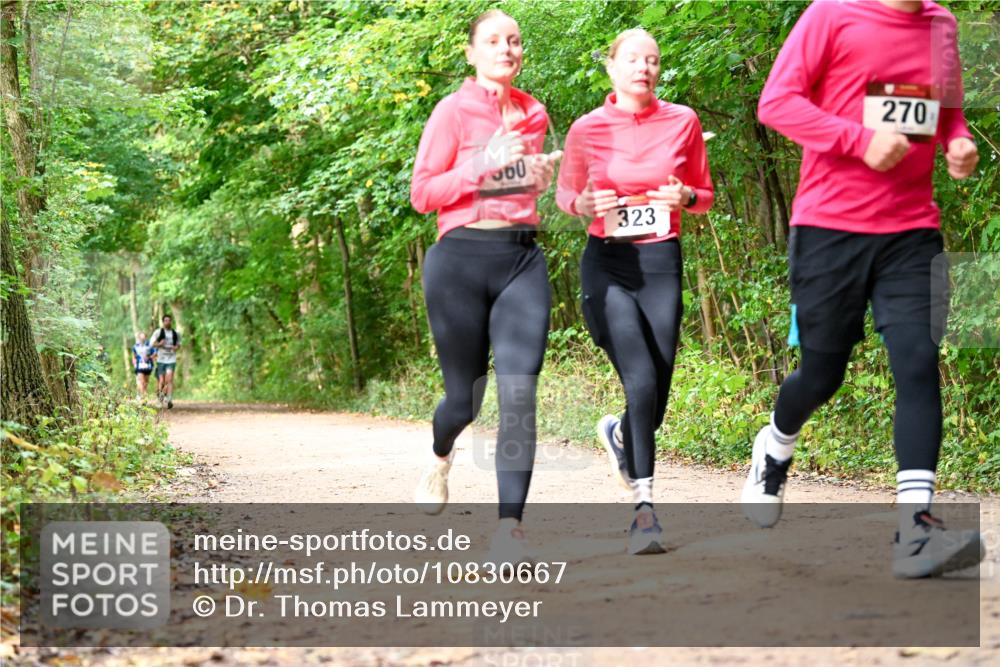 11.10.2026 - Bramfelder Halbmarathon 2026 Dr. Thomas Lammeyer http://msf.ph/oto/10830667 11.10.2026 11:13:54 Laufen 60, 323, 270 meine-sportfotos.de