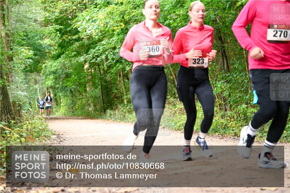 11.10.2026 - Bramfelder Halbmarathon 2026 Dr. Thomas Lammeyer http://msf.ph/oto/10830668 11.10.2026 11:13:54 Laufen 360, 323, 270 meine-sportfotos.de