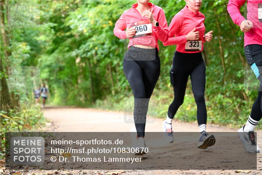 11.10.2026 - Bramfelder Halbmarathon 2026 Dr. Thomas Lammeyer http://msf.ph/oto/10830670 11.10.2026 11:13:54 Laufen 360, 323 meine-sportfotos.de