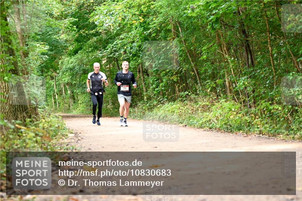 11.10.2026 - Bramfelder Halbmarathon 2026 Dr. Thomas Lammeyer http://msf.ph/oto/10830683 11.10.2026 11:14:08 Laufen 75 meine-sportfotos.de