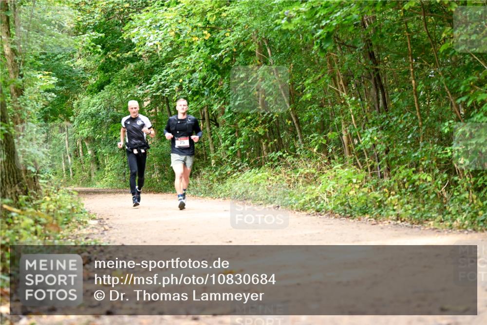 11.10.2026 - Bramfelder Halbmarathon 2026 Dr. Thomas Lammeyer http://msf.ph/oto/10830684 11.10.2026 11:14:08 Laufen 75 meine-sportfotos.de