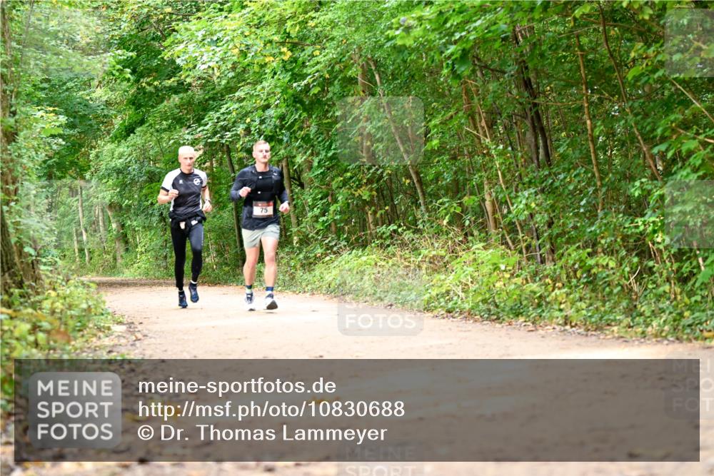 11.10.2026 - Bramfelder Halbmarathon 2026 Dr. Thomas Lammeyer http://msf.ph/oto/10830688 11.10.2026 11:14:08 Laufen 75 meine-sportfotos.de