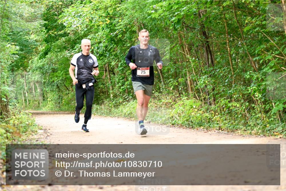 11.10.2026 - Bramfelder Halbmarathon 2026 Dr. Thomas Lammeyer http://msf.ph/oto/10830710 11.10.2026 11:14:10 Laufen 75 meine-sportfotos.de