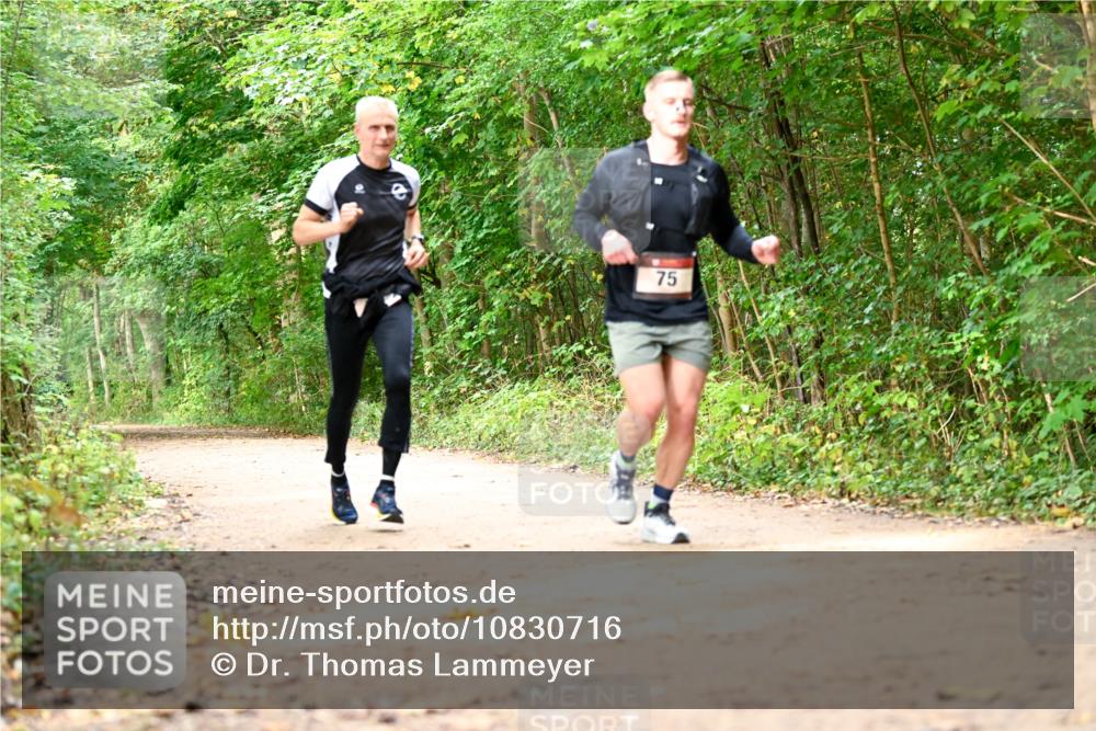 11.10.2026 - Bramfelder Halbmarathon 2026 Dr. Thomas Lammeyer http://msf.ph/oto/10830716 11.10.2026 11:14:11 Laufen 75 meine-sportfotos.de