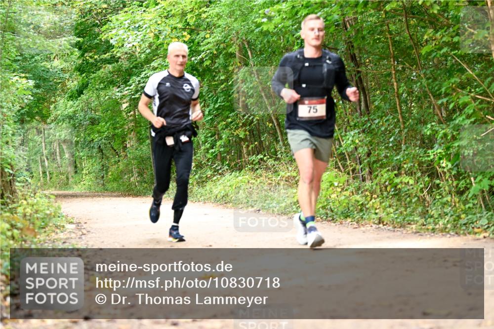 11.10.2026 - Bramfelder Halbmarathon 2026 Dr. Thomas Lammeyer http://msf.ph/oto/10830718 11.10.2026 11:14:11 Laufen 75 meine-sportfotos.de