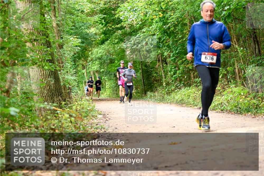 11.10.2026 - Bramfelder Halbmarathon 2026 Dr. Thomas Lammeyer http://msf.ph/oto/10830737 11.10.2026 11:14:26 Laufen 407, 636 meine-sportfotos.de