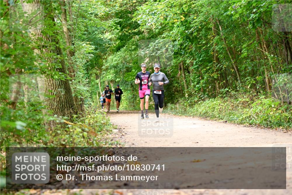 11.10.2026 - Bramfelder Halbmarathon 2026 Dr. Thomas Lammeyer http://msf.ph/oto/10830741 11.10.2026 11:14:27 Laufen 324, 407 meine-sportfotos.de