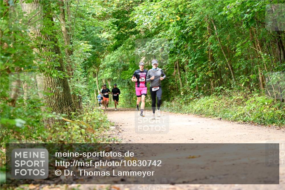 11.10.2026 - Bramfelder Halbmarathon 2026 Dr. Thomas Lammeyer http://msf.ph/oto/10830742 11.10.2026 11:14:27 Laufen 324, 407 meine-sportfotos.de