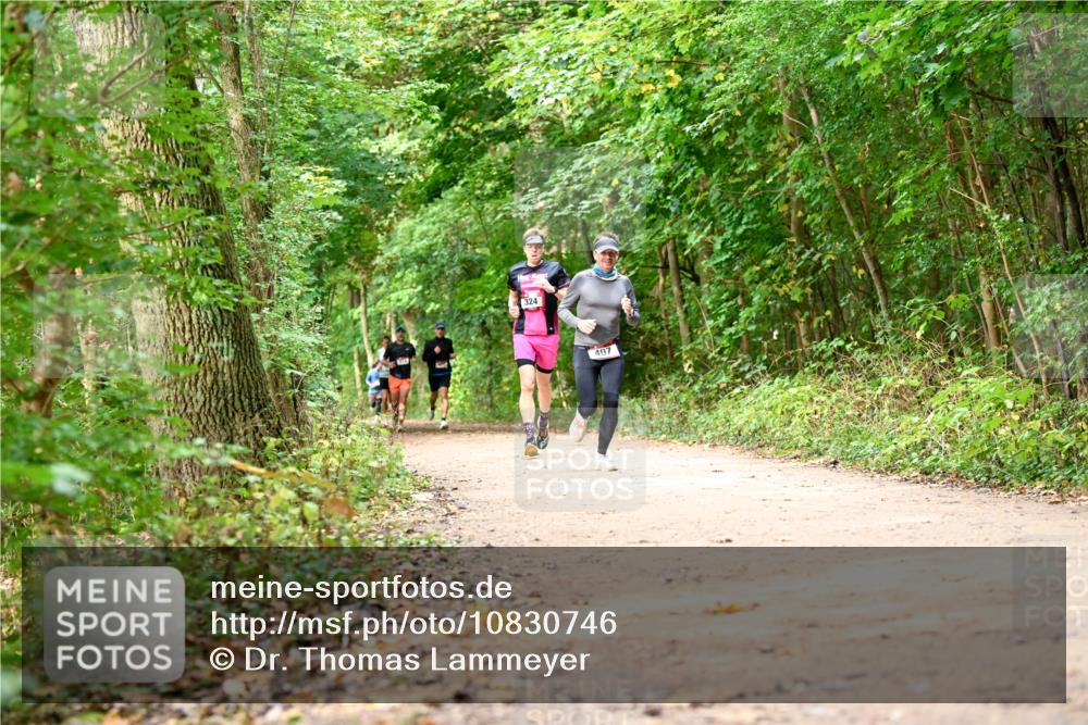11.10.2026 - Bramfelder Halbmarathon 2026 Dr. Thomas Lammeyer http://msf.ph/oto/10830746 11.10.2026 11:14:28 Laufen 324, 407 meine-sportfotos.de