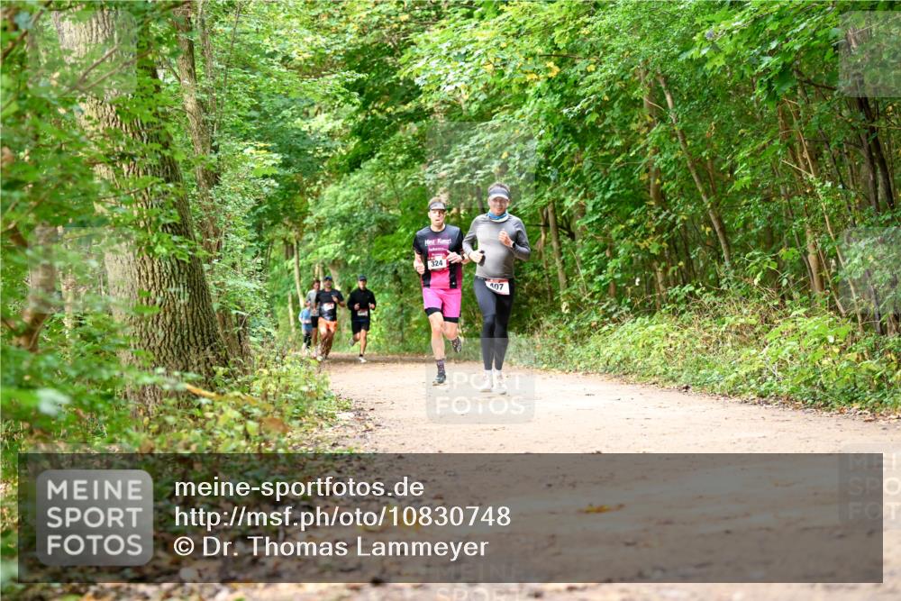 11.10.2026 - Bramfelder Halbmarathon 2026 Dr. Thomas Lammeyer http://msf.ph/oto/10830748 11.10.2026 11:14:28 Laufen 324, 407 meine-sportfotos.de