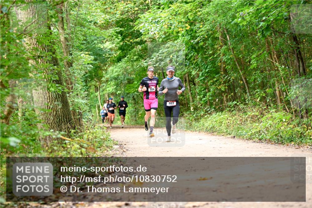 11.10.2026 - Bramfelder Halbmarathon 2026 Dr. Thomas Lammeyer http://msf.ph/oto/10830752 11.10.2026 11:14:28 Laufen 324, 407 meine-sportfotos.de