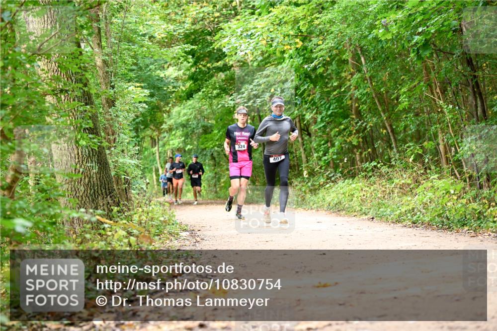 11.10.2026 - Bramfelder Halbmarathon 2026 Dr. Thomas Lammeyer http://msf.ph/oto/10830754 11.10.2026 11:14:28 Laufen 324, 407 meine-sportfotos.de