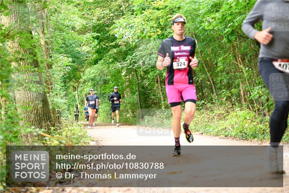 11.10.2026 - Bramfelder Halbmarathon 2026 Dr. Thomas Lammeyer http://msf.ph/oto/10830788 11.10.2026 11:14:31 Laufen 324, 0 meine-sportfotos.de