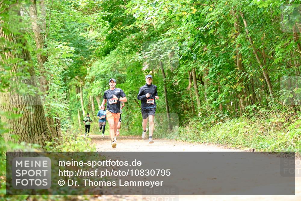11.10.2026 - Bramfelder Halbmarathon 2026 Dr. Thomas Lammeyer http://msf.ph/oto/10830795 11.10.2026 11:14:32 Laufen 574, 405 meine-sportfotos.de