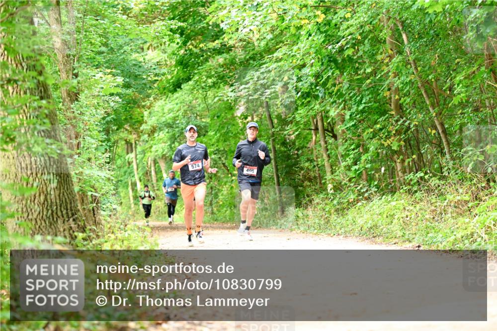 11.10.2026 - Bramfelder Halbmarathon 2026 Dr. Thomas Lammeyer http://msf.ph/oto/10830799 11.10.2026 11:14:32 Laufen 574, 405 meine-sportfotos.de