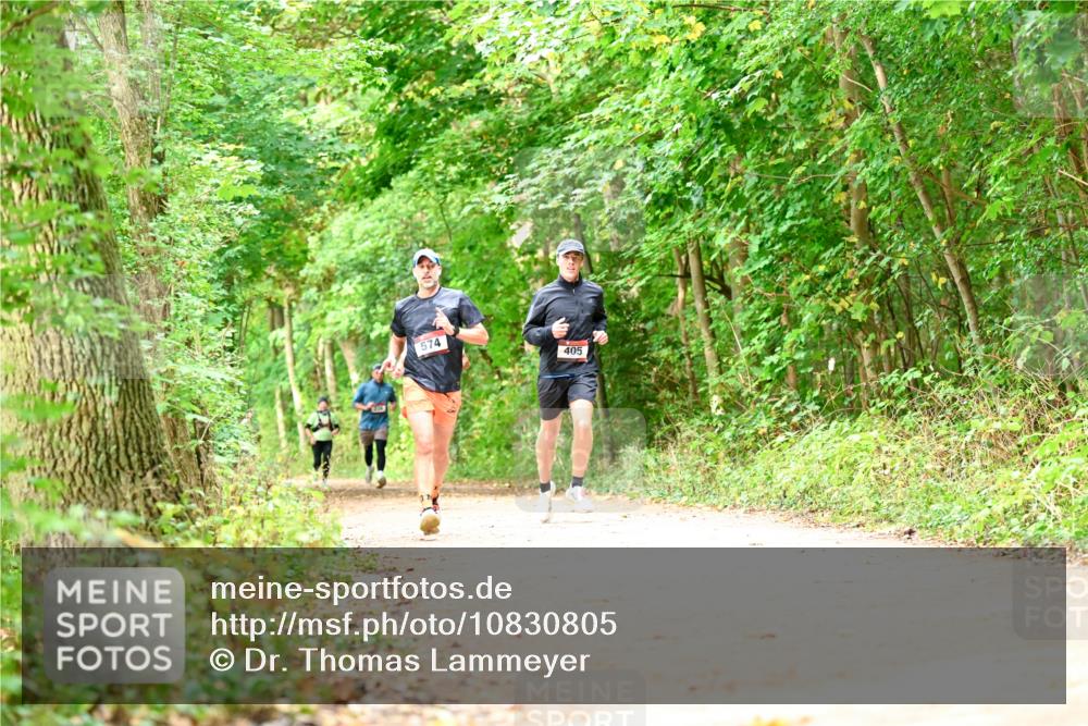 11.10.2026 - Bramfelder Halbmarathon 2026 Dr. Thomas Lammeyer http://msf.ph/oto/10830805 11.10.2026 11:14:33 Laufen 574, 405 meine-sportfotos.de
