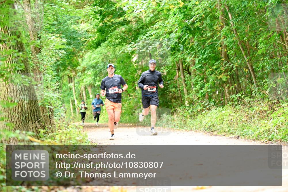 11.10.2026 - Bramfelder Halbmarathon 2026 Dr. Thomas Lammeyer http://msf.ph/oto/10830807 11.10.2026 11:14:33 Laufen 574, 405 meine-sportfotos.de