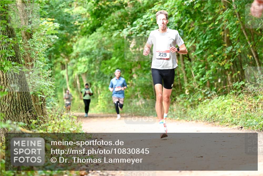 11.10.2026 - Bramfelder Halbmarathon 2026 Dr. Thomas Lammeyer http://msf.ph/oto/10830845 11.10.2026 11:14:36 Laufen 225 meine-sportfotos.de