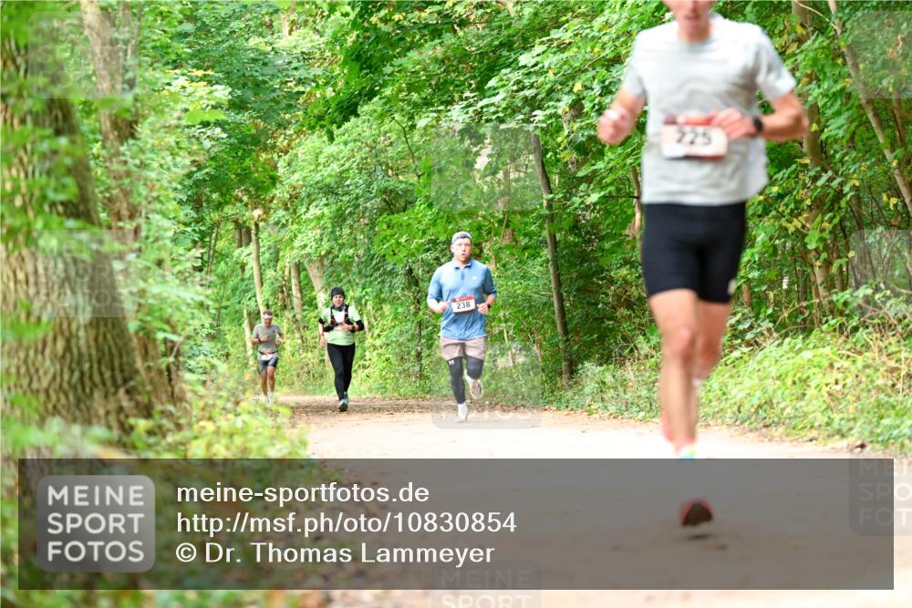 11.10.2026 - Bramfelder Halbmarathon 2026 Dr. Thomas Lammeyer http://msf.ph/oto/10830854 11.10.2026 11:14:37 Laufen 238 meine-sportfotos.de