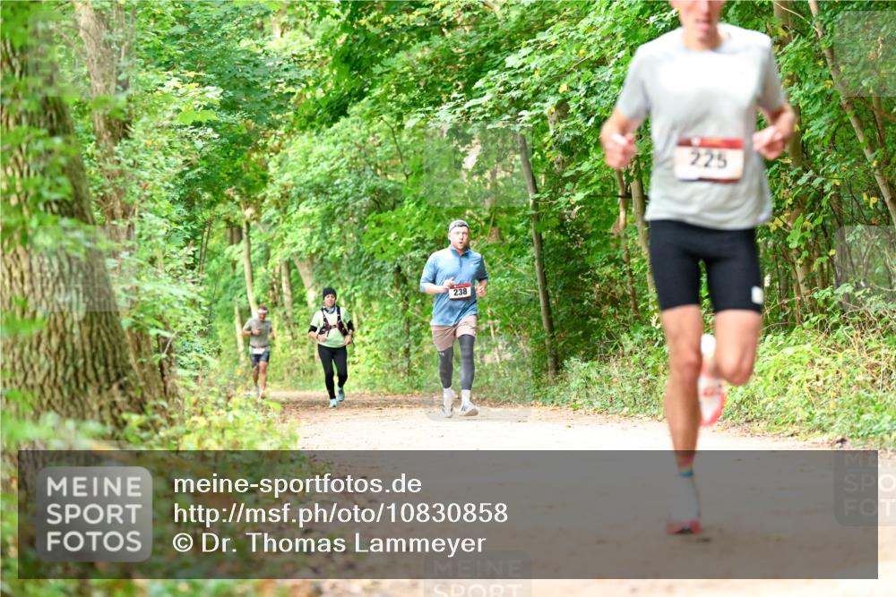 11.10.2026 - Bramfelder Halbmarathon 2026 Dr. Thomas Lammeyer http://msf.ph/oto/10830858 11.10.2026 11:14:37 Laufen 238, 225 meine-sportfotos.de